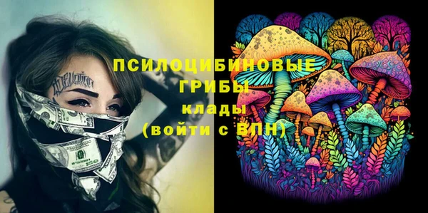бутират Краснослободск